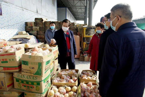 柳金鐘書記深入襄都區(qū)檢查食用農(nóng)產(chǎn)品市場銷售信息追溯系統(tǒng)建設(shè)